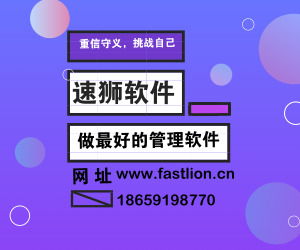 北京ERP系統專業開發，速獅軟件以無與倫比的服務引領軟件開發新標準